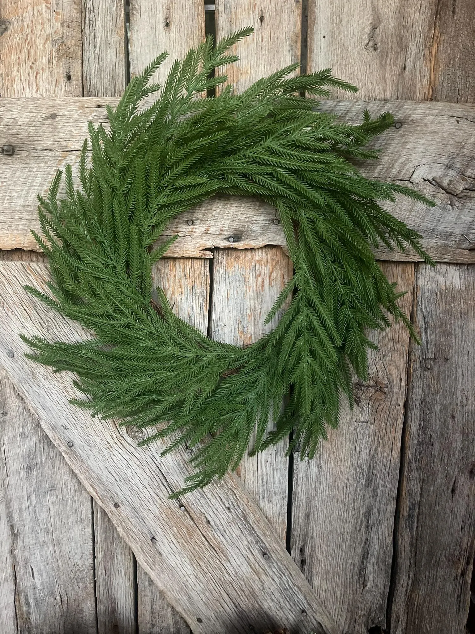 24" Norfolk Pine Wreath, Real Touch Norfolk Pine Wreath