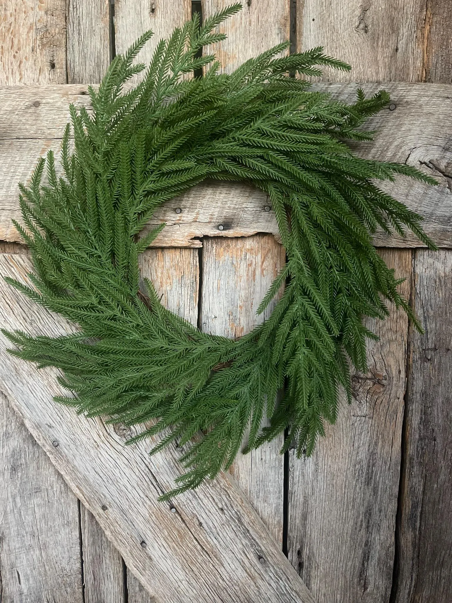 24" Norfolk Pine Wreath, Real Touch Norfolk Pine Wreath